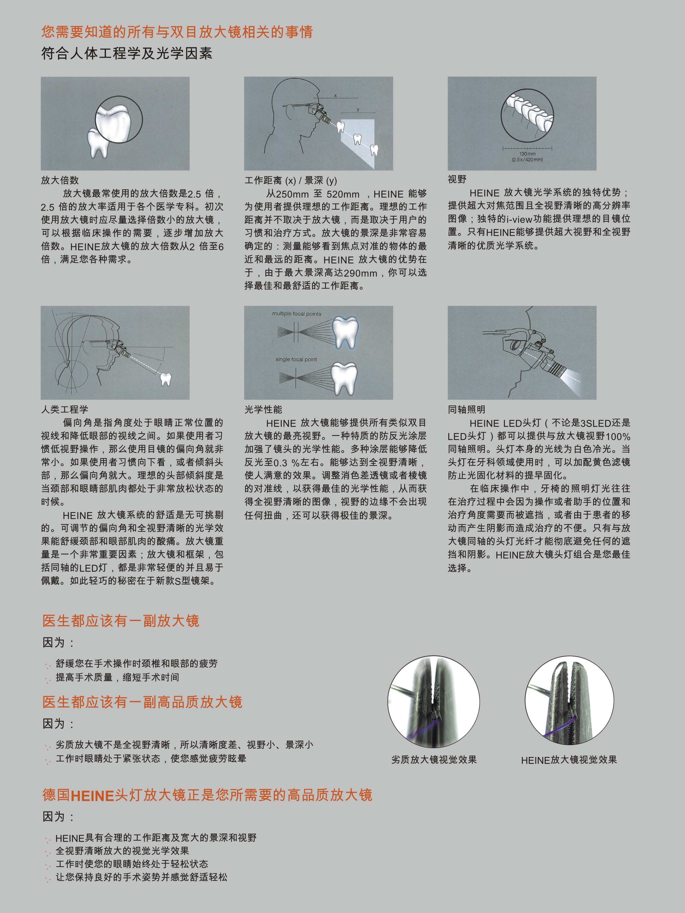 海涅2