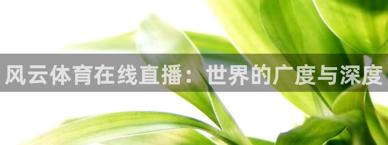 下载熊猫直播