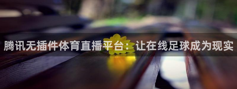 熊猫在线直播