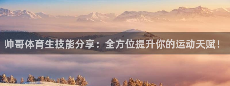 熊猫体育手机版