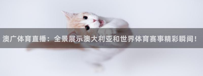 下载熊猫体育直播