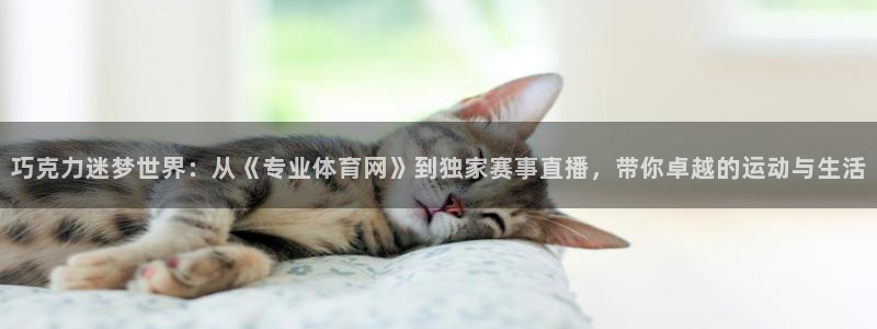 熊猫体育网址：巧克力迷梦世界：从《专业体育网》到独家赛事直播，带你卓越的运动与生活
