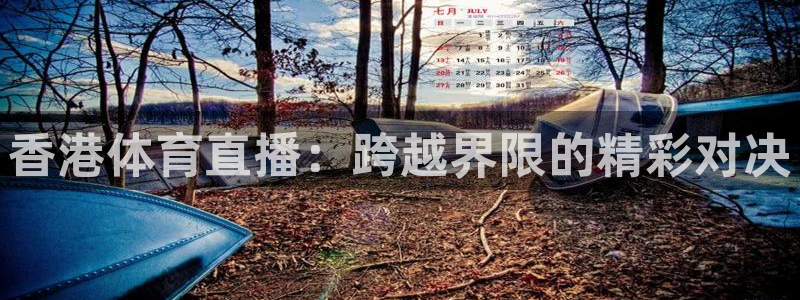 下载熊猫直播：香港体育直播：跨越界限的精彩对决