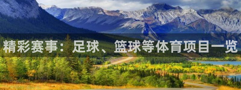 熊猫的视频：精彩赛事：足球、篮球等体育项目一览