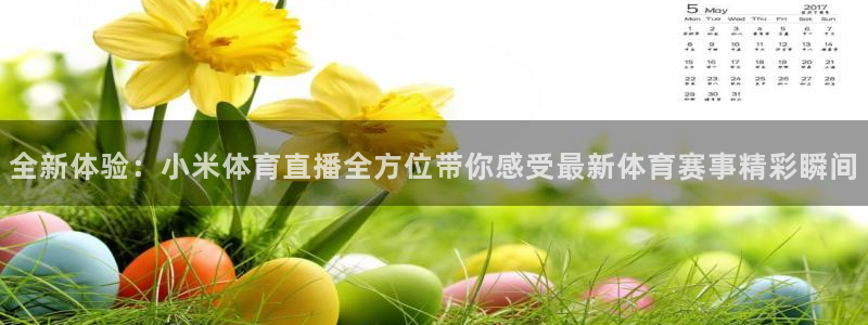 熊猫频道：全新体验：小米体育直播全方位带你感受最新体育赛事精彩瞬间