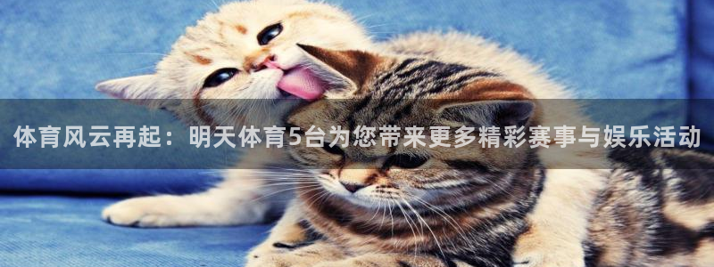 熊猫体育直播app点击启动.进新版.org：体育风云再起：明天体育5台为您带来更多精彩赛事与娱乐活动