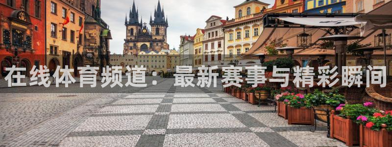 关于熊猫的：在线体育频道：最新赛事与精彩瞬间
