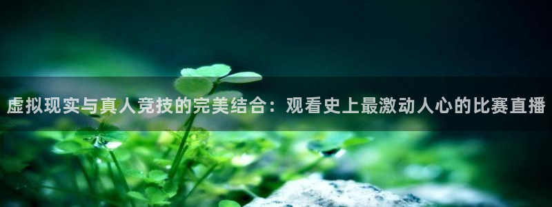 熊猫体育手机版：虚拟现实与真人竞技的完美结合：观看史上最激动人心的比赛直播