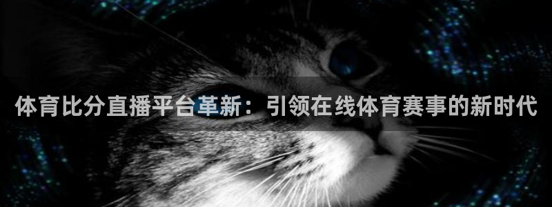 熊猫体育直播平台：体育比分直播平台革新：引领在线体育赛事的新时代