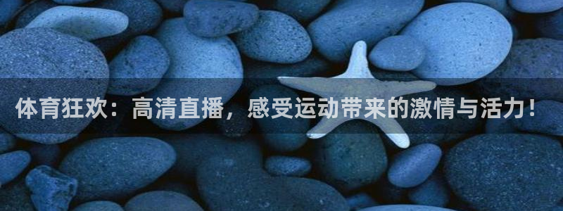 熊猫体育直播免费观看：体育狂欢：高清直播，感受运动带来的激情与活力！
